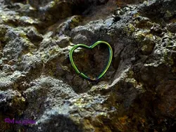 پیرسینگ هفت رنگ بینی و لب PI9004 | فروشگاه بدلیجات سناتور مد