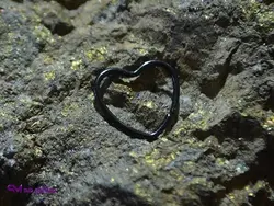 پیرسینگ بینی و لب مشکی PI9007 | فروشگاه بدلیجات سناتور مد