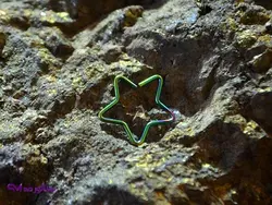 پیرسینگ استیل بینی و لب P9001 | فروشگاه بدلیجات سناتور مد