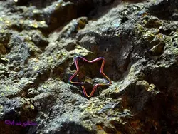 پیرسینگ استیل بینی و لب P9001 | فروشگاه بدلیجات سناتور مد