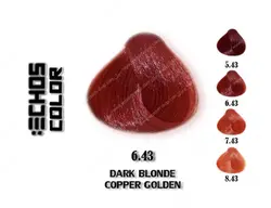 رنگ اچ اس لاین بلوند مسی طلایی تیره 6.43