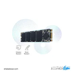 حافظه SSD لکسار Lexar NM100 M.2 2280 256GB اینترنال