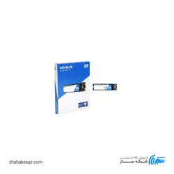 حافظه SSD وسترن دیجیتال Western Digital Blue SN550 M.2 NVMe 1TB اینترنال