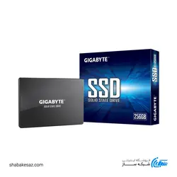 حافظه SSD گیگابایت GIGABYTE 256GB اینترنال GP-GSTFS31256GTND