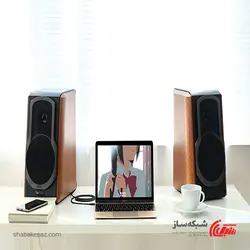 قیمت و خرید کابل صدا 2 RCA یوگرین Ugreen AV102 طول 5 متر - شبکه ساز