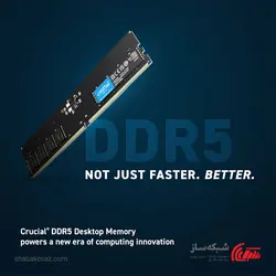 قیمت و خرید رم کامپیوتر DDR5 کروشیال Crucial ظرفیت 8 گیگابایت 4800Mhz - شبکه ساز