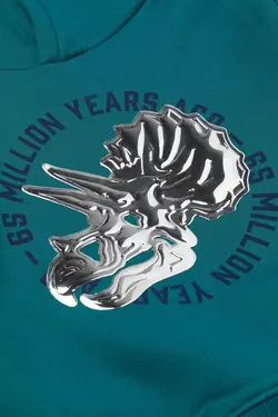 هودی پسرانه فیروزه ای تیره اچ اند ام