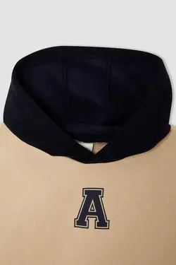 هودی پسرانه بژ دفاکتو