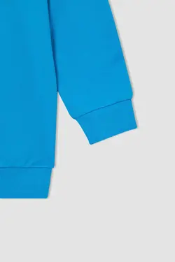 هودی پسرانه فیروزه ای دفاکتو