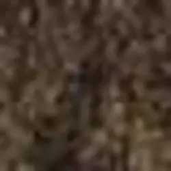 پالتو زنانه قهوه ای پیرکاردین