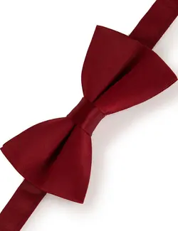 پاپیون مردانه زرشکی پیرکاردین