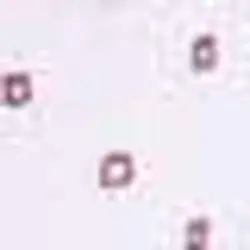 پیراهن آستین بلند مردانه قهوه ای پیرکاردین