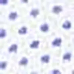 پیراهن آستین بلند مردانه آبی پیرکاردین