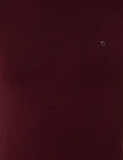 پلیور مردانه زرشکی پیرکاردین