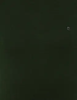 پلیور مردانه سبز پیرکاردین