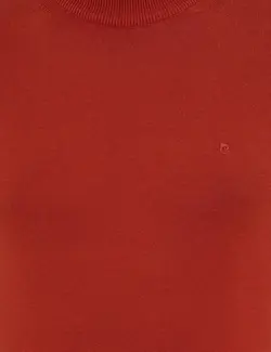 پلیور مردانه کبریتی پیرکاردین