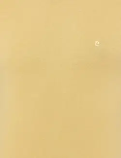 پلیور مردانه زرد روشن پیرکاردین