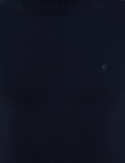 پلیور مردانه آبی پیرکاردین