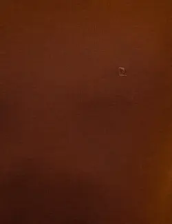 پلیور مردانه زنجبیلی پیرکاردین