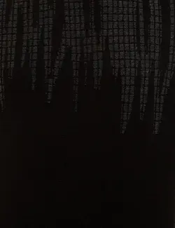 پلیور مردانه سیاه پیرکاردین