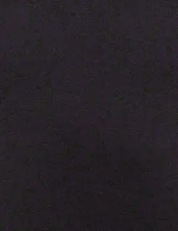 پلیور مردانه بنفش پیرکاردین