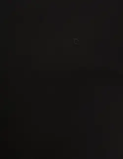 پلیور یقه اسکی مردانه سیاه پیرکاردین