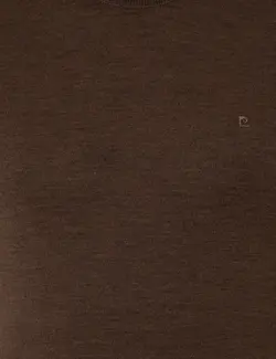 پلیور یقه اسکی مردانه قهوه ای روشن پیرکاردین