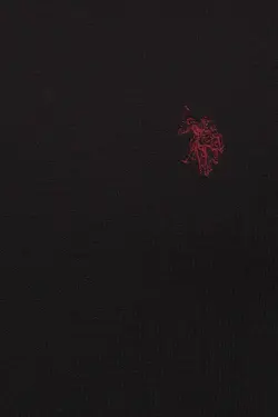 پلیور بافت نخی مردانه یو اس پولو