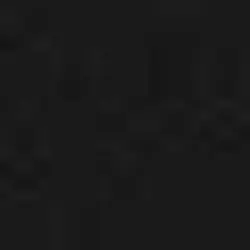 شومیز زنانه سیاه پیرکاردین