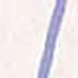 پیراهن زنانه آبی پیرکاردین