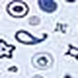 پیراهن آستین بلند مردانه آبی پیرکاردین