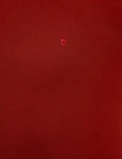 پلیور مردانه کبریتی پیرکاردین