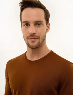 پلیور مردانه زنجبیلی پیرکاردین