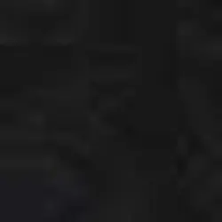 بلوز زنانه آستین کوتاه یقه گرد ویسکوز سیاه پیرکاردین