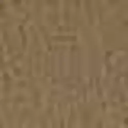 بلوز زنانه آستین کوتاه یقه گرد ساده ویسکوز خاکی پیرکاردین