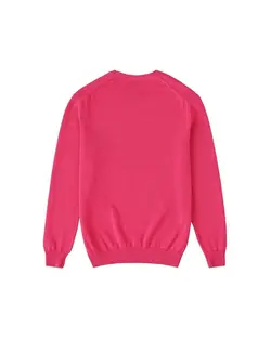 پلیور مردانه سرخابی زارا