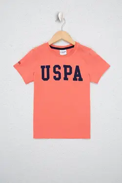 تی شرت یقه گرد پسرانه گلبهی یو اس پولو