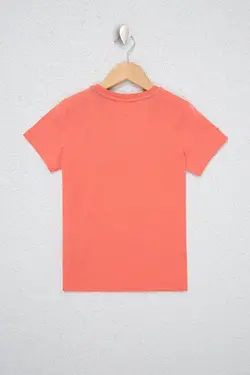 تی شرت یقه گرد پسرانه گلبهی یو اس پولو