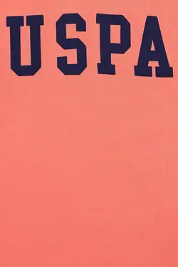 تی شرت یقه گرد پسرانه گلبهی یو اس پولو