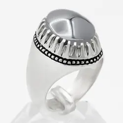 انگشتر حدید صینی نقره مردانه دست ساز طرح فیلی دور چنگ