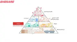 خوراک بادمجان مجید - 400 گرم