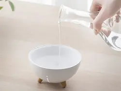 رطوبت ساز گربه ای اوریکو ORICO WT-TX5 Planet Cat humidifier (سفید) -