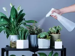 اسپری آب پاش شارژی شیائومی Xiaomi Xiaoda XD-DDPH01 Electric Watering Can 900ml -