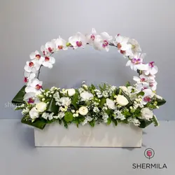 باکس گل آژند