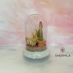 تراریوم مدل آذرخش