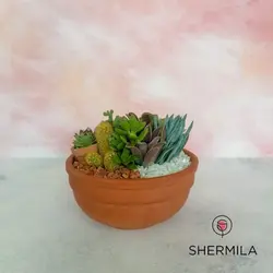 تراریوم مدل کانیا