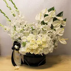 باکس گل آراد