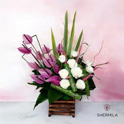 باکس گل صدف