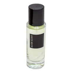 ادکلن مردانه پرستیژکالر مدل silver scent