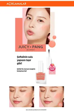 رژگونه مایع مرطوب کننده طبیعی Juicy Pang رنگ Water Blusher شماره CR01 میشا Missha